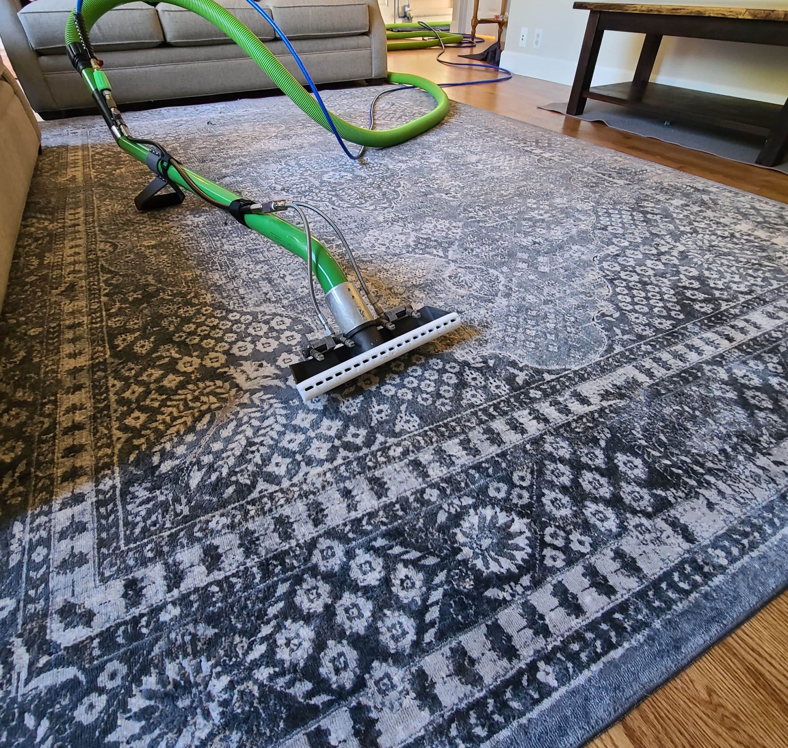 Area Rug Cleaning Services - OMA Professional Cleaning Technicians - Image 5